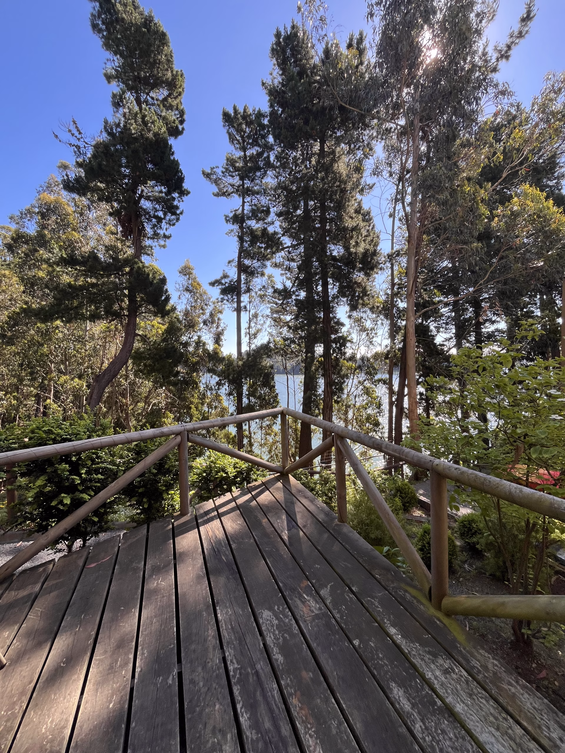 Vista desde la terraza hacia pasarela de madera y vegetación junto a Laguna Grande
