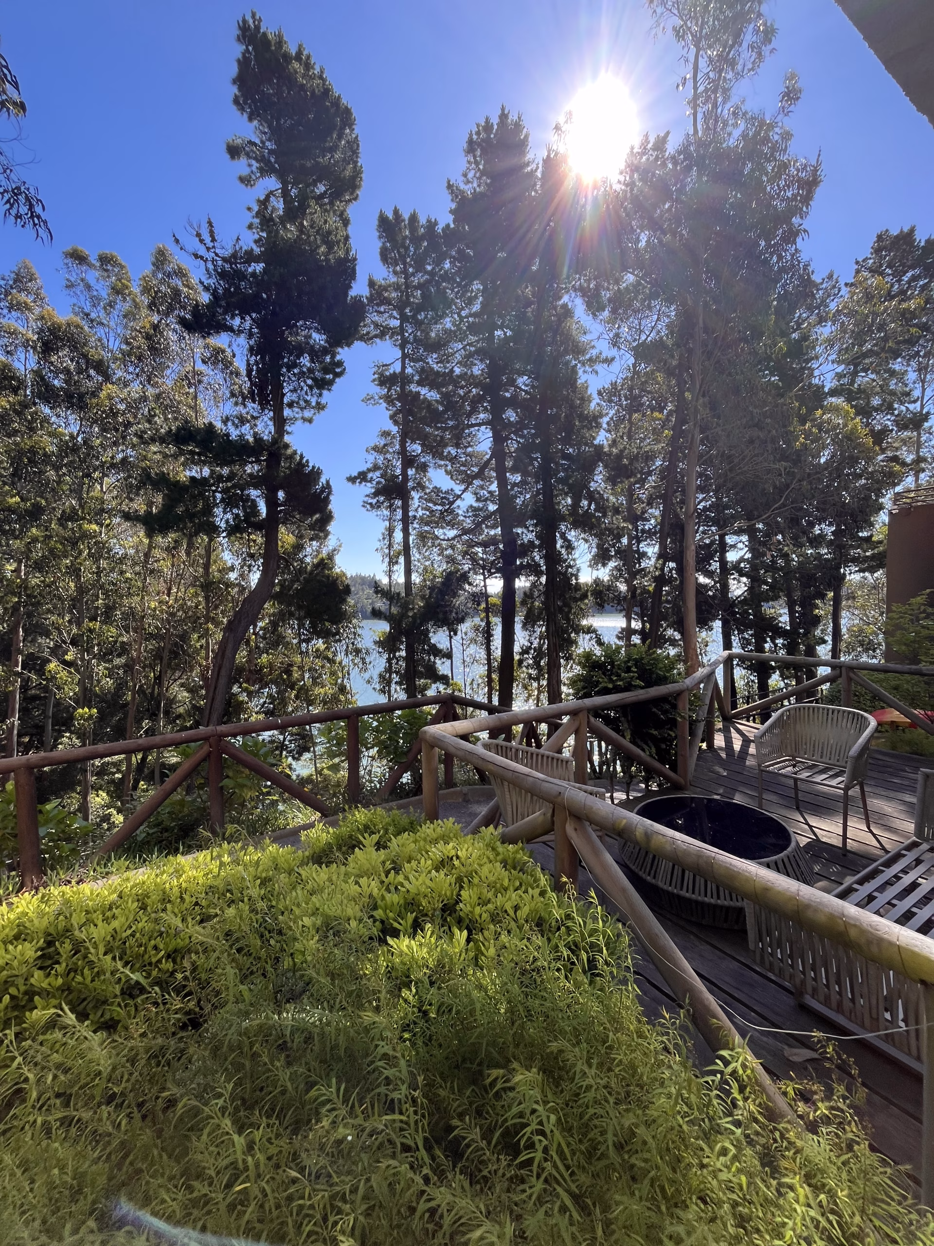 Vista exterior desde el balcón hacia la vegetación y Laguna Grande