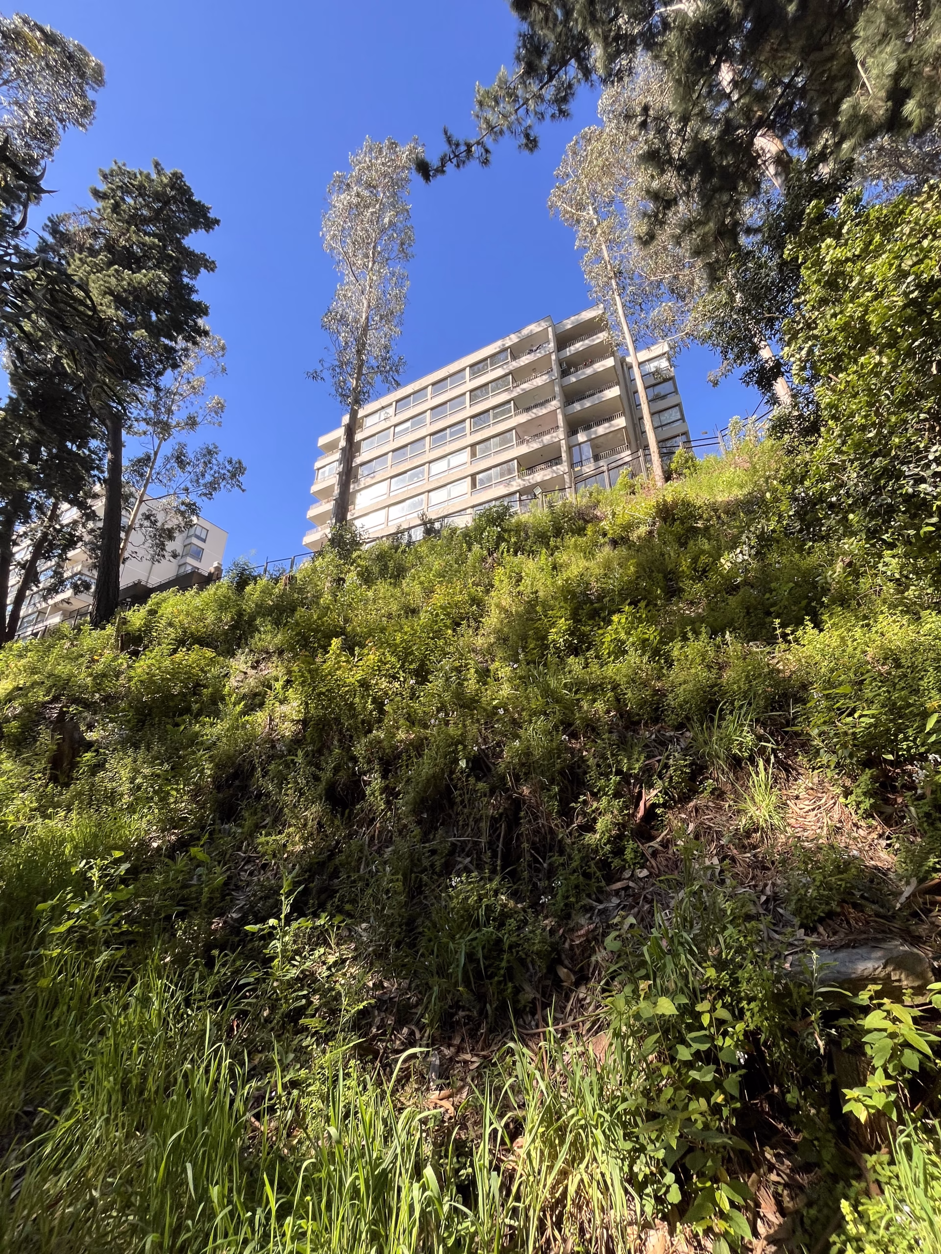 Entorno natural arbolado y vista exterior de edificio en Península de Andalué