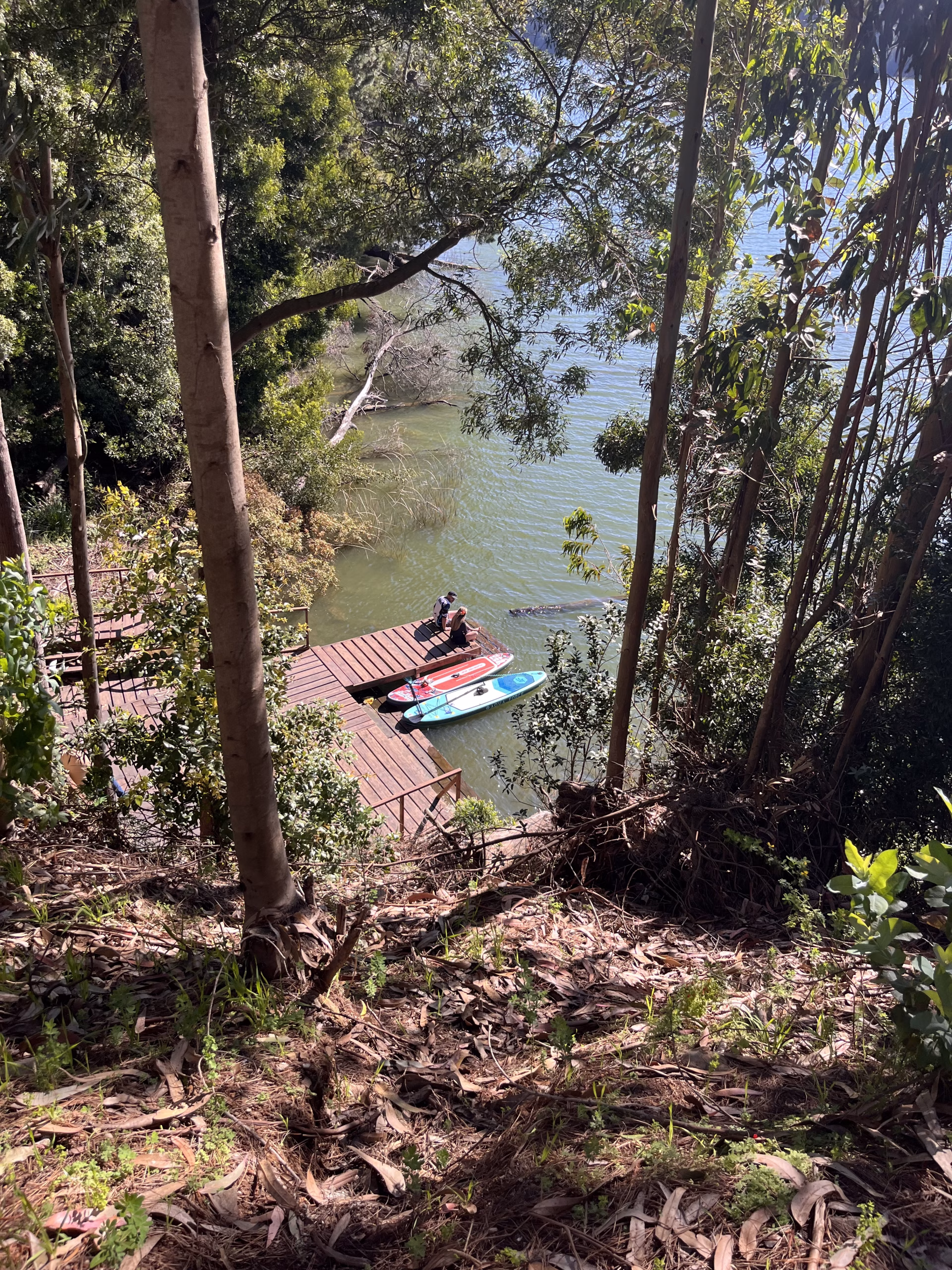 Vista de la orilla de Laguna Grande desde un sendero arbolado