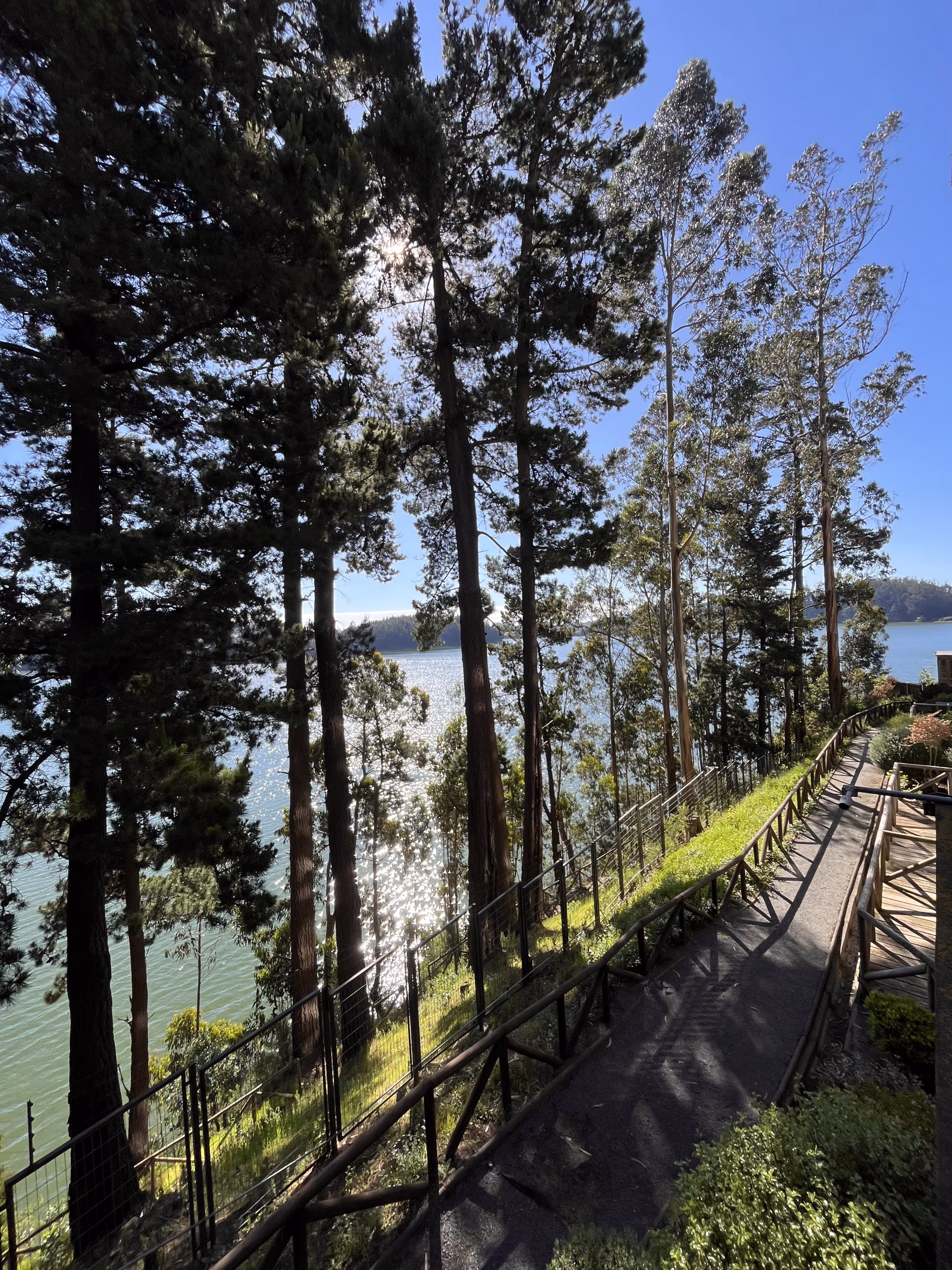 Vista de Laguna Grande entre árboles en el entorno de Península de Andalué